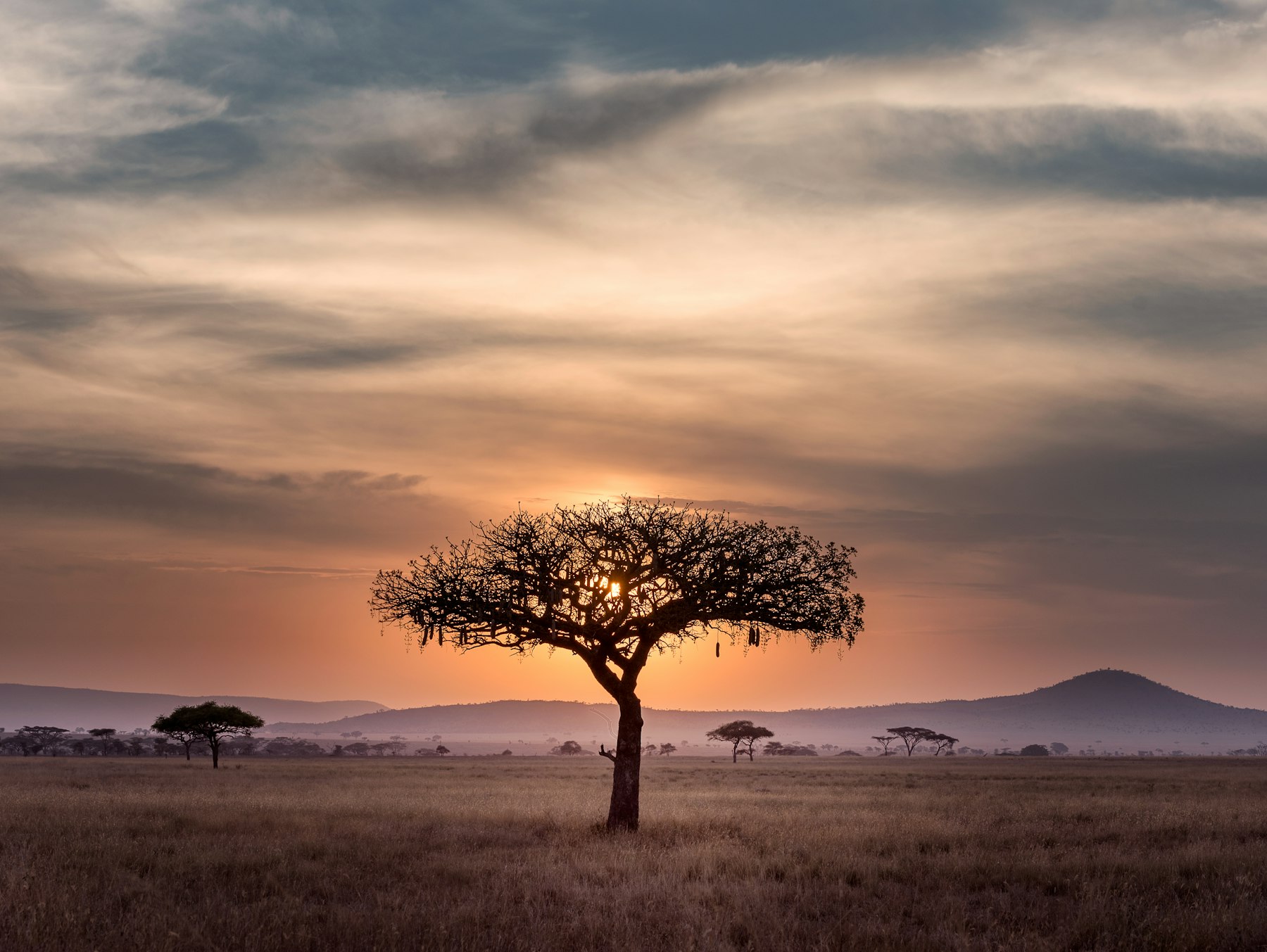 Savanna landscape of Nigeria